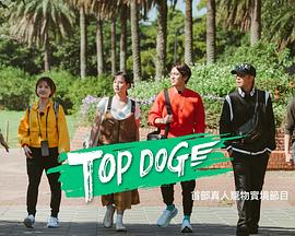 猫色网《TOP DOG》免费在线观看