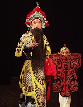 玩偶姐姐《袁崇焕》免费在线观看