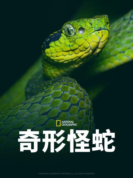 玩偶姐姐《奇形怪蛇》免费在线观看